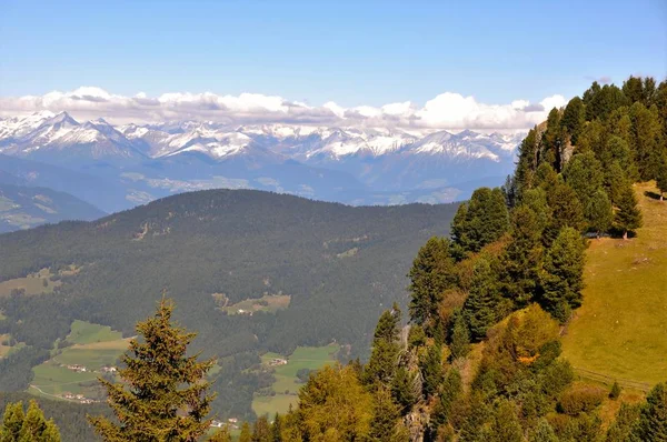 Vakantie Alpe Siusi — Stockfoto