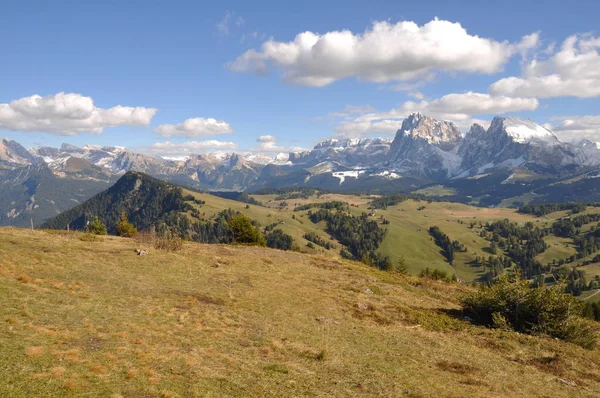 Urlaub Der Seiser Alm — Stockfoto