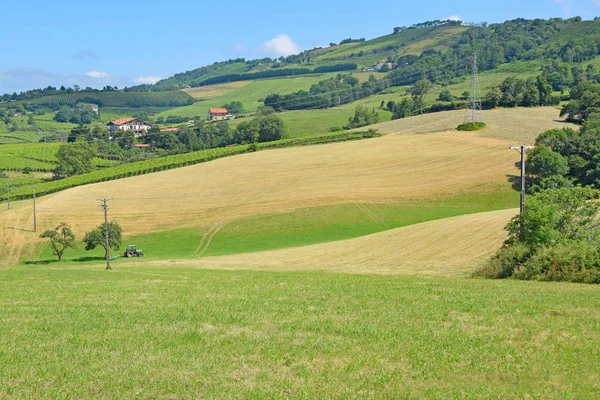 Hermosa Vista Del Paisaje Natural — Foto de Stock