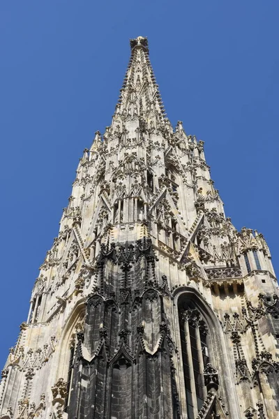 Wien Steppenkathedrale Wahrzeichen Dach Doppeladler Monarchie Turm Kirchturm — Stockfoto
