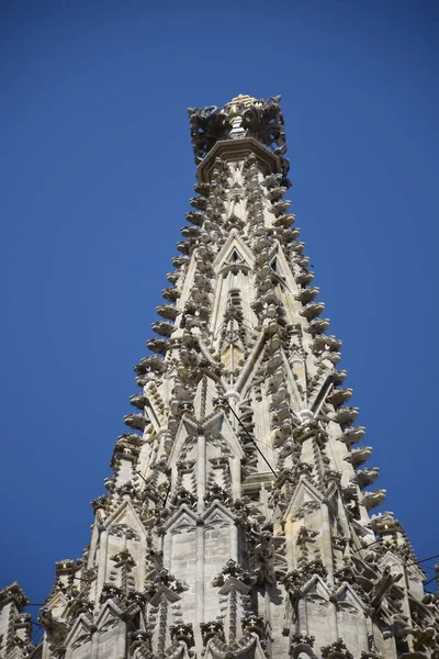 ウィーンだよ スティーブンの大聖堂 ランドマーク 二重ワシ 君主制 — ストック写真