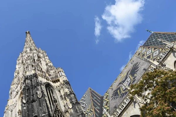 Bécs Szent Stephen Katedrális Mérföldkő Tető Dupla Sas Monarchia Torony — Stock Fotó