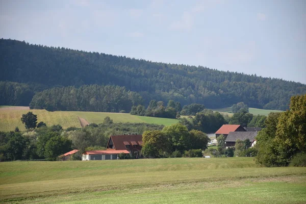Campo Campo Árvore Franconia Superior Franconia Bayreuth Aldeia Fazenda — Fotografia de Stock