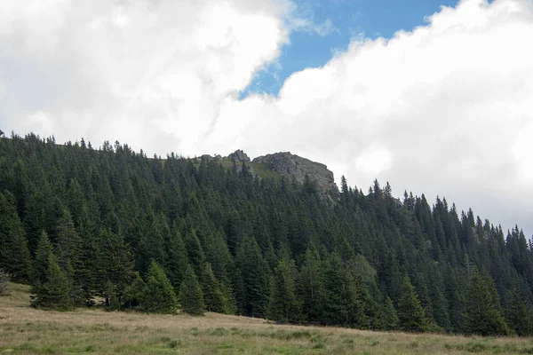 Conifers Rocks Green Brown Grass Mountain Pasture Front Cloudy Sky — ストック写真