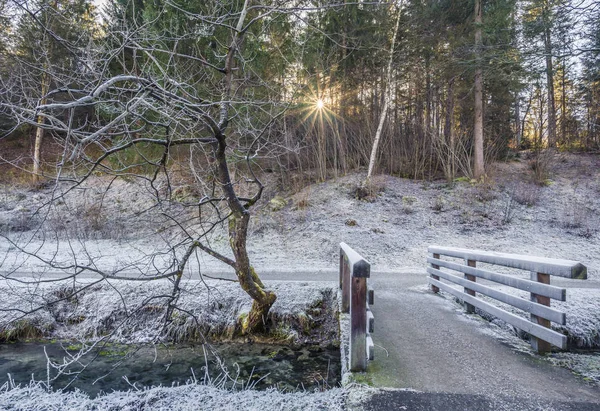 Imagem Inverno Com Uma Ponte Madeira Sobre Riacho Montanha Prado — Fotografia de Stock