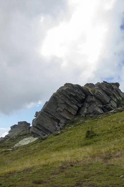 Conifere Rocce Erba Verde Marrone Pascolo Montagna Fronte Cielo Nuvoloso — Foto Stock