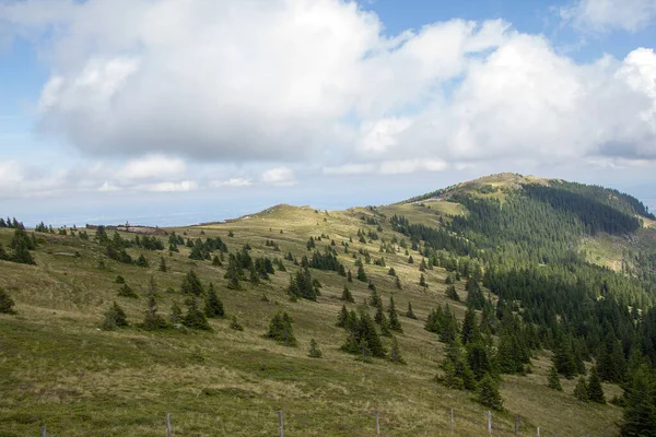 Conifères Rochers Sur Herbe Brun Vert Sur Pâturage Montagne Face — Photo