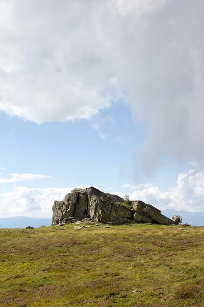 Conifères Rochers Sur Herbe Brun Vert Sur Pâturage Montagne Face — Photo