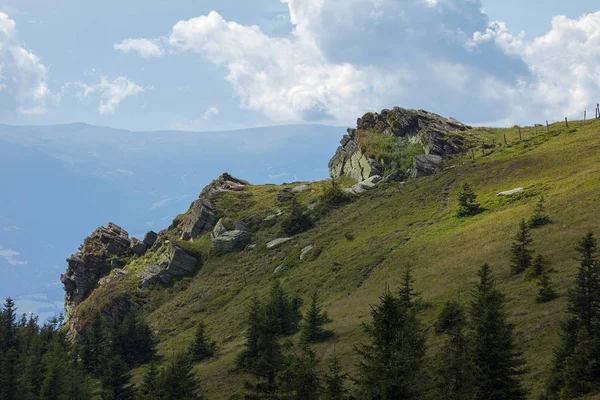 Jehličnany Skály Zelenohnědé Trávě Horské Pastvině Před Zataženou Oblohou Weinebene — Stock fotografie