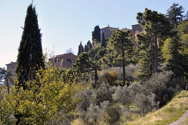 Country Silnice Cypřišem Montepulciano Toskánsku — Stock fotografie