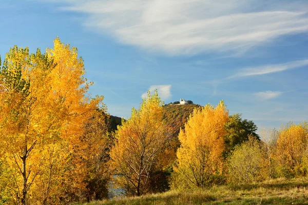 Autunno Lungo Danube Vienna — Foto Stock