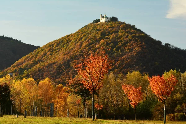 Otoño Largo Del Danube Viena —  Fotos de Stock