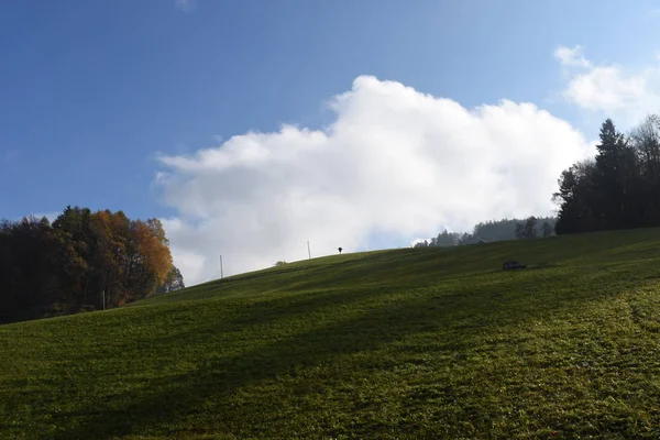 Steyr Damberg Herbst Wiese Hang Verfärbtes Laub Abbiegen Straße — Stockfoto