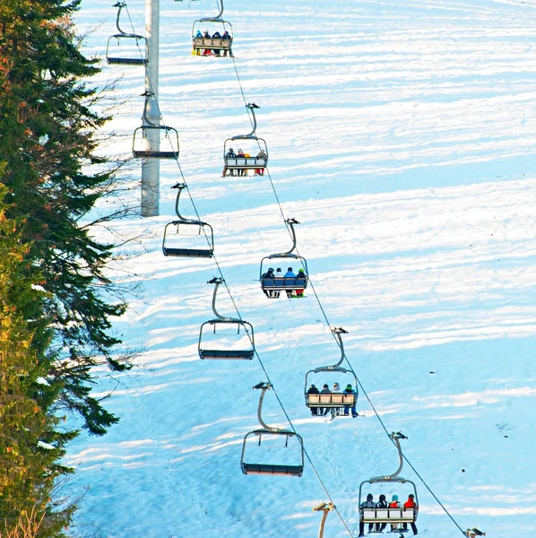 리조트에서 스키를 올라가 나무들의 그림자를 맡으며 — 스톡 사진