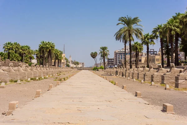 아프리카 북동부와 중동을 연결하는 나라인 이집트 — 스톡 사진