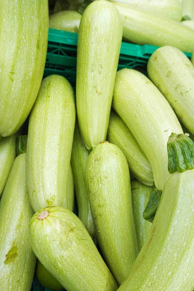 Zucchini Auf Dem Markt Frische Grüne Zucchini — Stockfoto