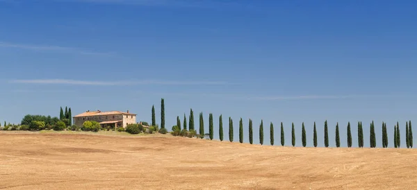 Landscape Tuscany — Stock Photo, Image