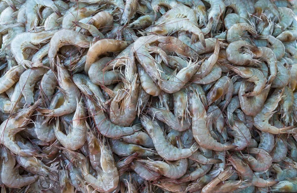 Alimento Mar Mercado Peixes — Fotografia de Stock