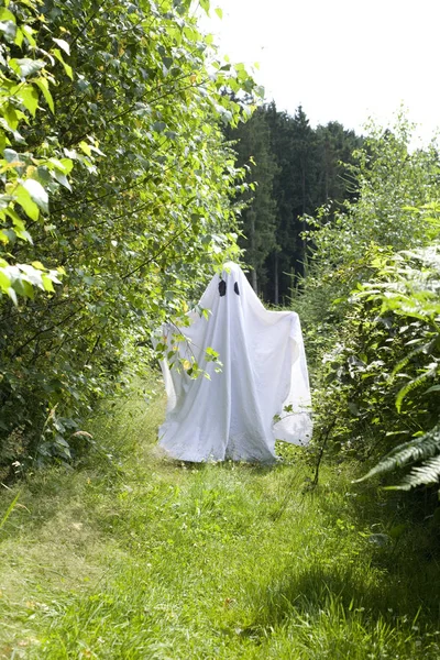 Summer White Ghost Forest — Stock Photo, Image