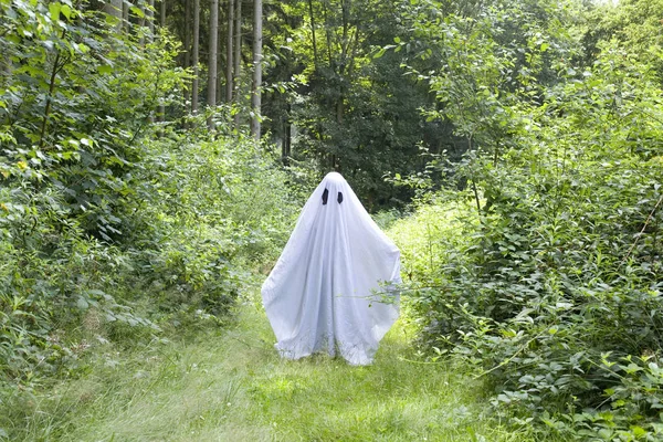 Biały Duch Lesie Drzewa Natury Halloween — Zdjęcie stockowe