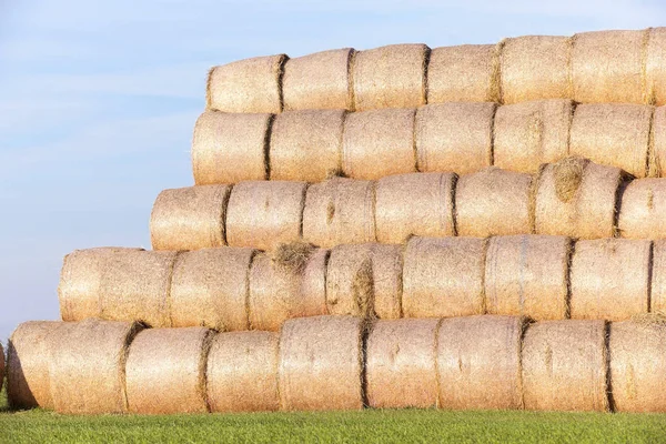 Campo Agrícola Que Foram Deixados Deitado Palha Haystacks Após Colheita — Fotografia de Stock