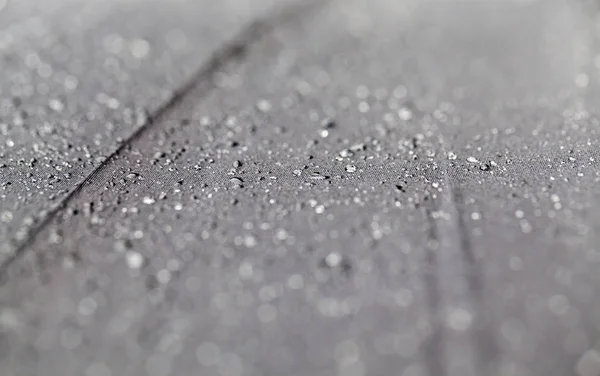 Photographed Close Water Droplets Black Umbrella Rain Small Depth Field — ストック写真