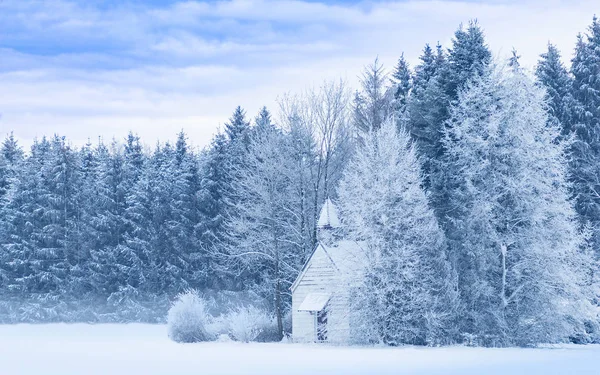 雪原に雪の森と雪に覆われた小さな木製のチャペルと牧歌的な穏やかな冬の風景 青と白のフィルタリングとトーンパノラマ写真 — ストック写真