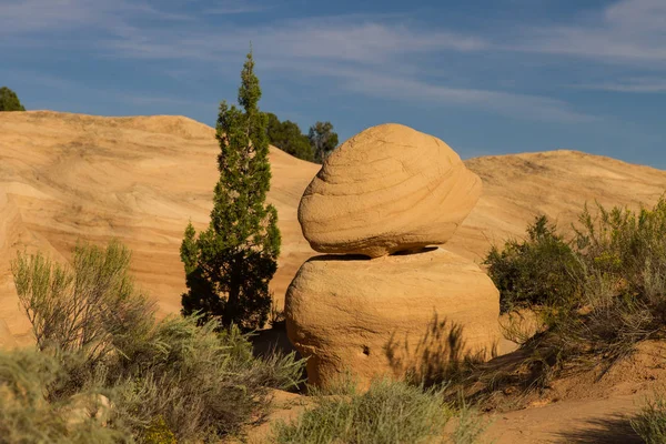 Sandstein Figuren Figure Arenaria Devils Garden Foro Nella Rock Road — Foto Stock