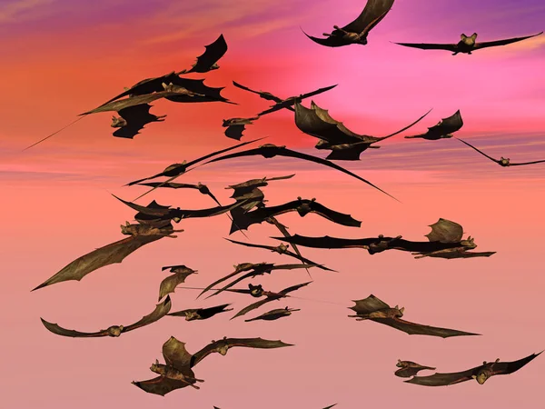 Vleermuis Insecteneters Echografie Vliegende Zoogdieren Bont Microchiroptera Vleermuizen Vliegende Vos — Stockfoto