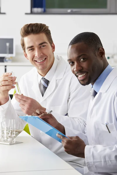 Two Technicians Working Laboratory — Stock Photo, Image