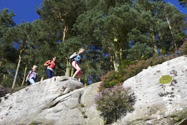 Gruppo Ragazze Adolescenti Che Camminano Campagna — Foto Stock