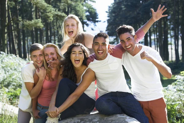 Group Young People Relaxing Countryside — Stock Photo, Image