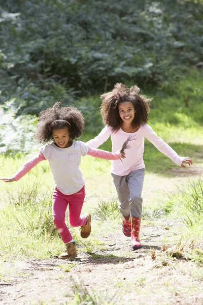 Twee Meisjes Spelen Samen Het Bos — Stockfoto