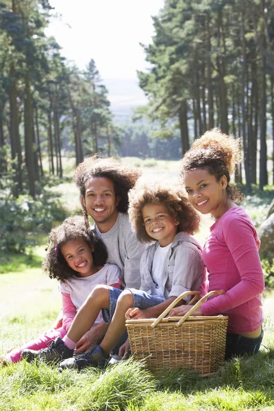 Familia Picnic Campo — Foto de Stock