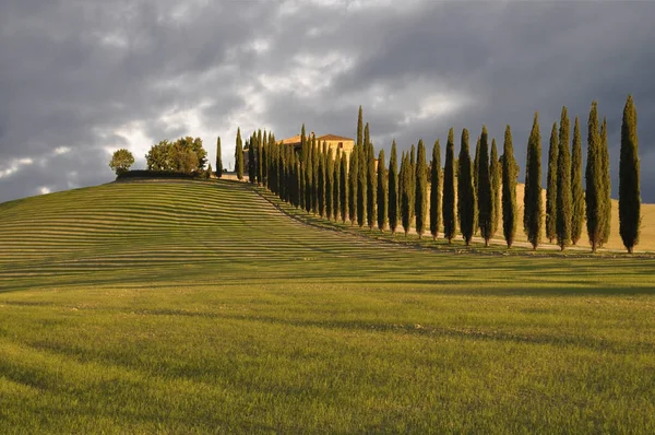Landscape Tuscany Italy — Stock Photo, Image