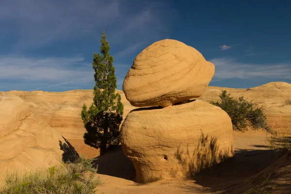 Sandstein Figuren Figuras Arenisca Devils Garden Hole Rock Road Grand — Foto de Stock