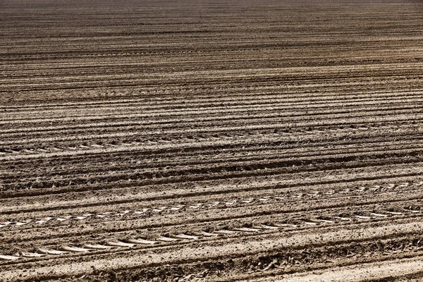 作物を植えるため耕されている農業のフィールド クローズ アップ — ストック写真