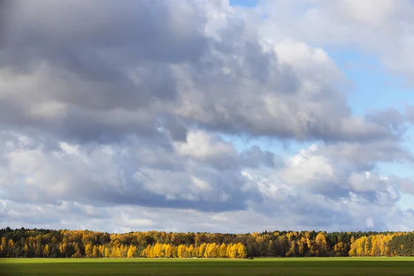 Φωτογραφημένο Δέντρα Και Φύση Φθινόπωρο Του Έτους Κιτρινισμένα Βλάστηση Και — Φωτογραφία Αρχείου