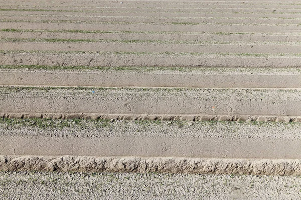 Campo Agrícola Que Hicieron Surcos Para Plantar Nuevo Cultivo Primer — Foto de Stock