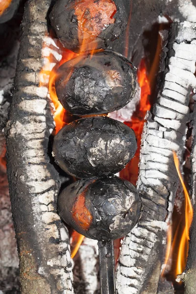 Fotografierte Nahaufnahme Von Gemüse Tomaten Paprika Während Kochen Lagerfeuer — Stockfoto