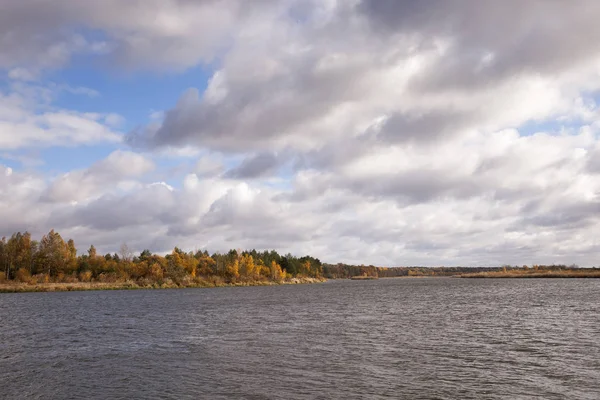 Fotografowane Niemna Znajduje Się Białorusi Jesieni Lasu Drzew Żółte Tle — Zdjęcie stockowe