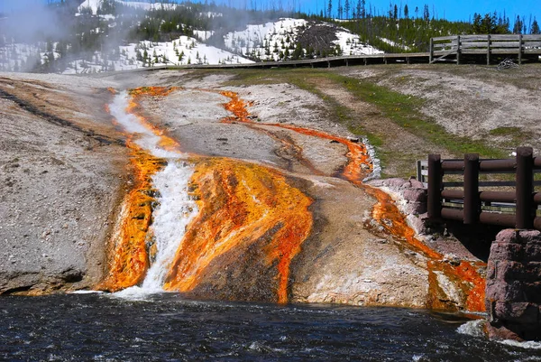 Colorful Bacteria Thrive Flowing Waters Due Heat Arising Active Volcano — Stock Photo, Image