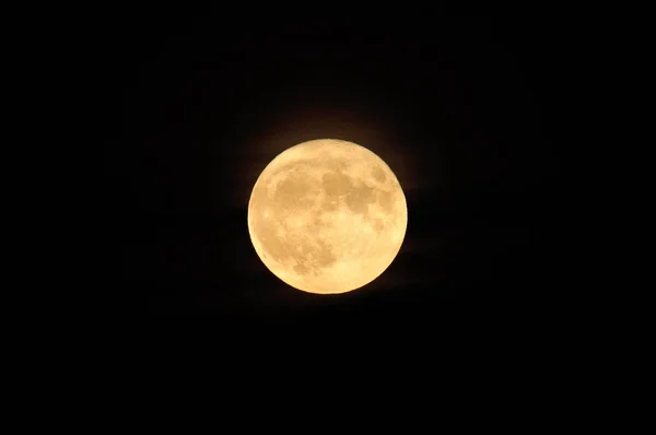 Grootste Supermond Sinds Jaar Gefotografeerd 2016 Berlin Biesdorf — Stockfoto