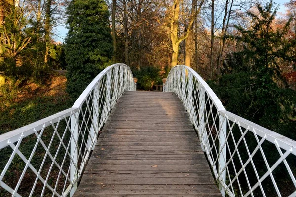 Arch Bridge Bois Avec Terrain Métal Blanc Arbres Automnaux Arrière — Photo