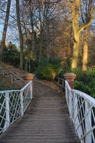 背後に白い金属の地形と秋の木で作られた木製のアーチ橋 石柱と木製のフェンスで上向きのリードの方法 — ストック写真