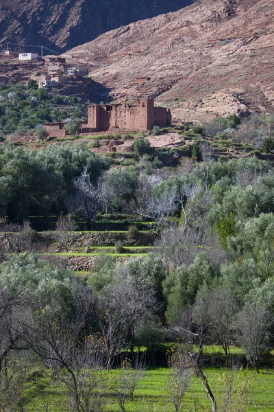 Uitzicht Bergdorp Moskee Atlasgebergte Marokko — Stockfoto