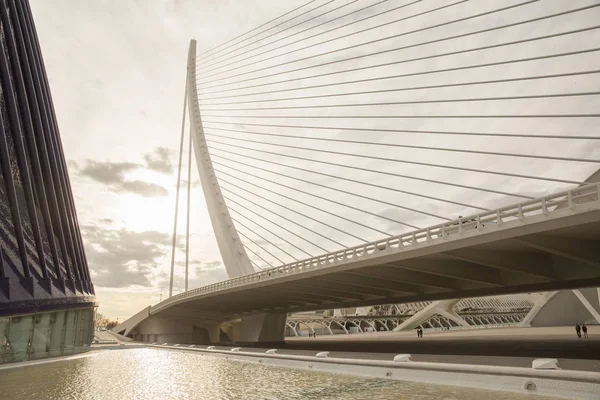 Мост Через Город Искусств Наук Валенсия Испания — стоковое фото