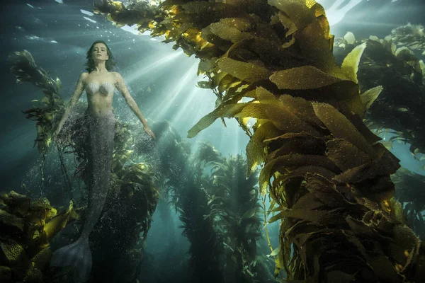 Vista Submarina Del Mermaid Con Los Ojos Cerrados Bosque Kelp — Foto de Stock