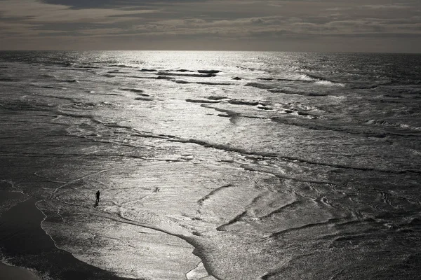 Silhouette Personne Pagayant Dans Mer Ensoleillée San Francisco Californie États — Photo