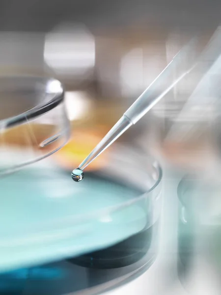 Amostra Pipetagem Cientista Uma Placa Petri Laboratório — Fotografia de Stock